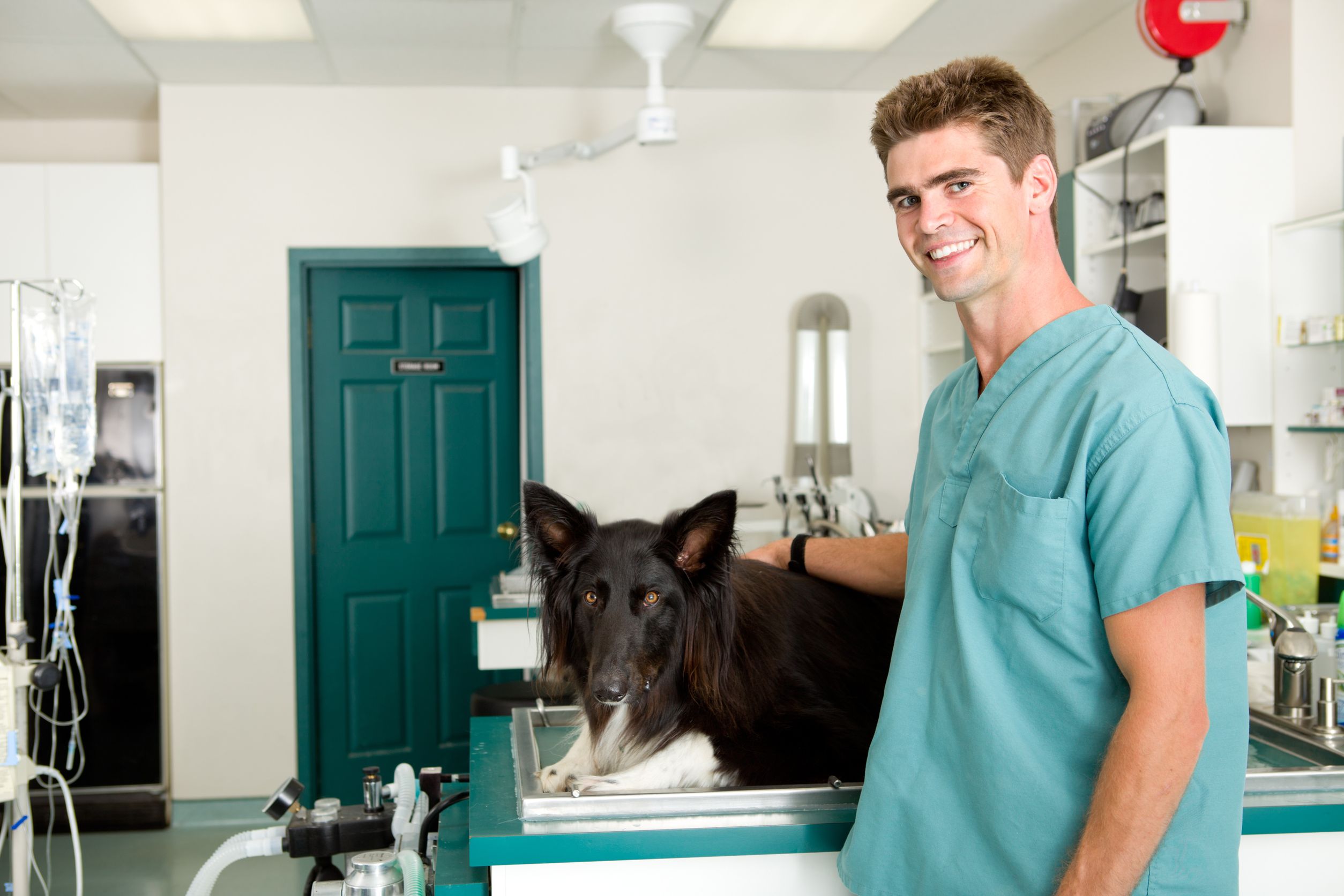 Find A Great Veterinary Hospital In Richmond TX