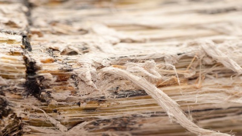 How Can Residential Asbestos Disposal Services in Fairfield, CT Help You?