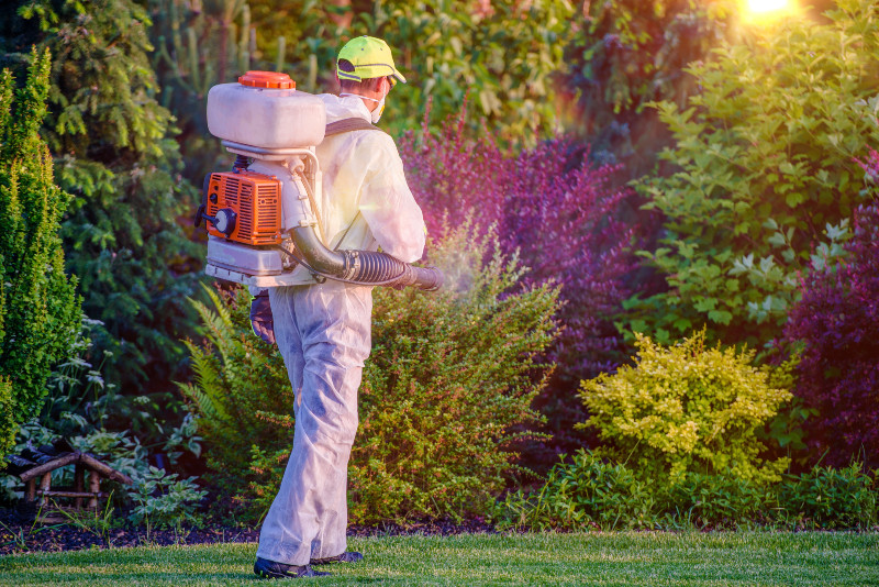 Benefits of Professional Mosquito Control in Louisville, KY