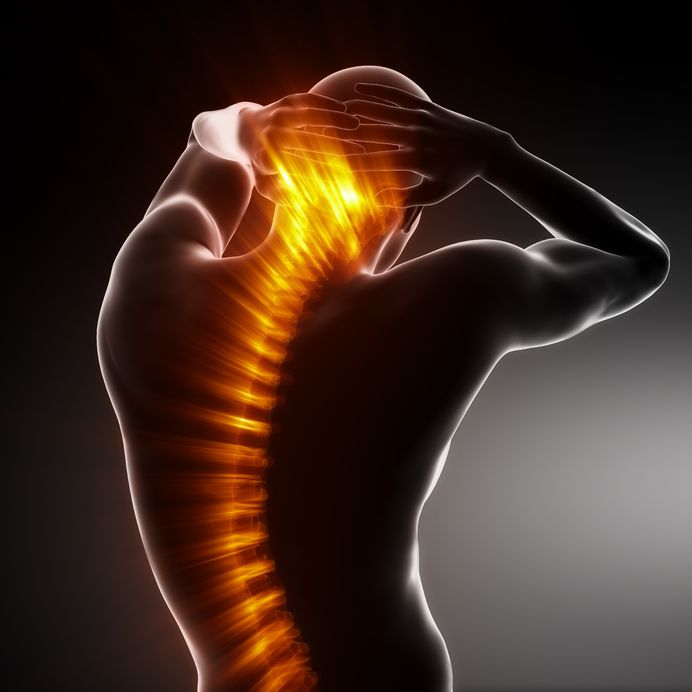 4 Back Issues Addressed by a Chiropractor in Chaska, MN