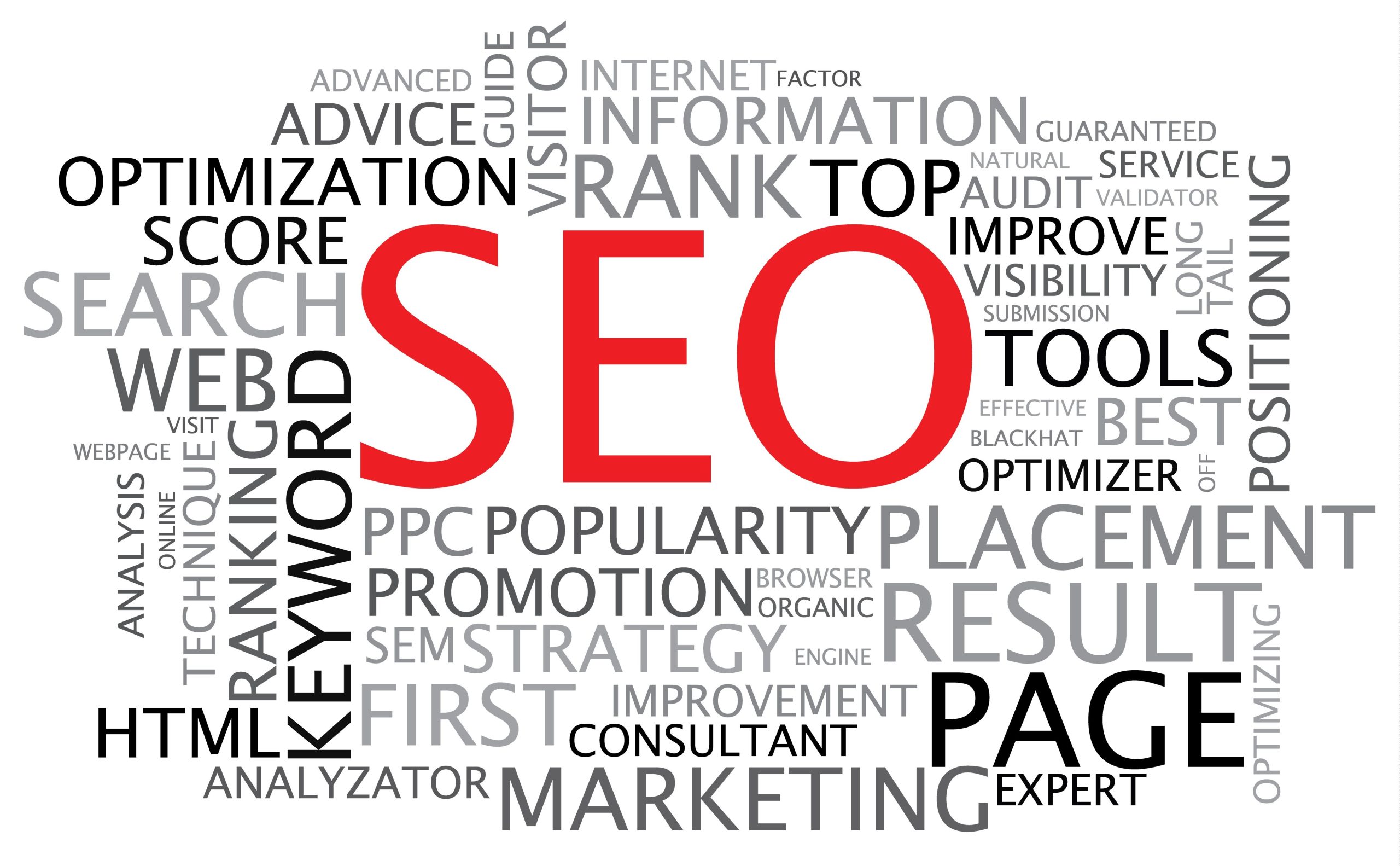 “Must Haves” of a Search Engine Optimization Company