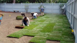 Perfect Residential Landscaping Service In Santa Cruz CA Guarantee Excellent Results Every Time