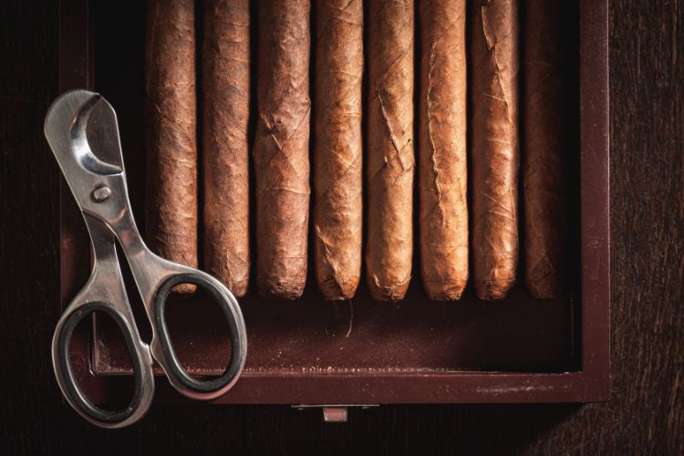 Creating a Cigar Lounge at Home in Pinellas County, FL: What You Will Need