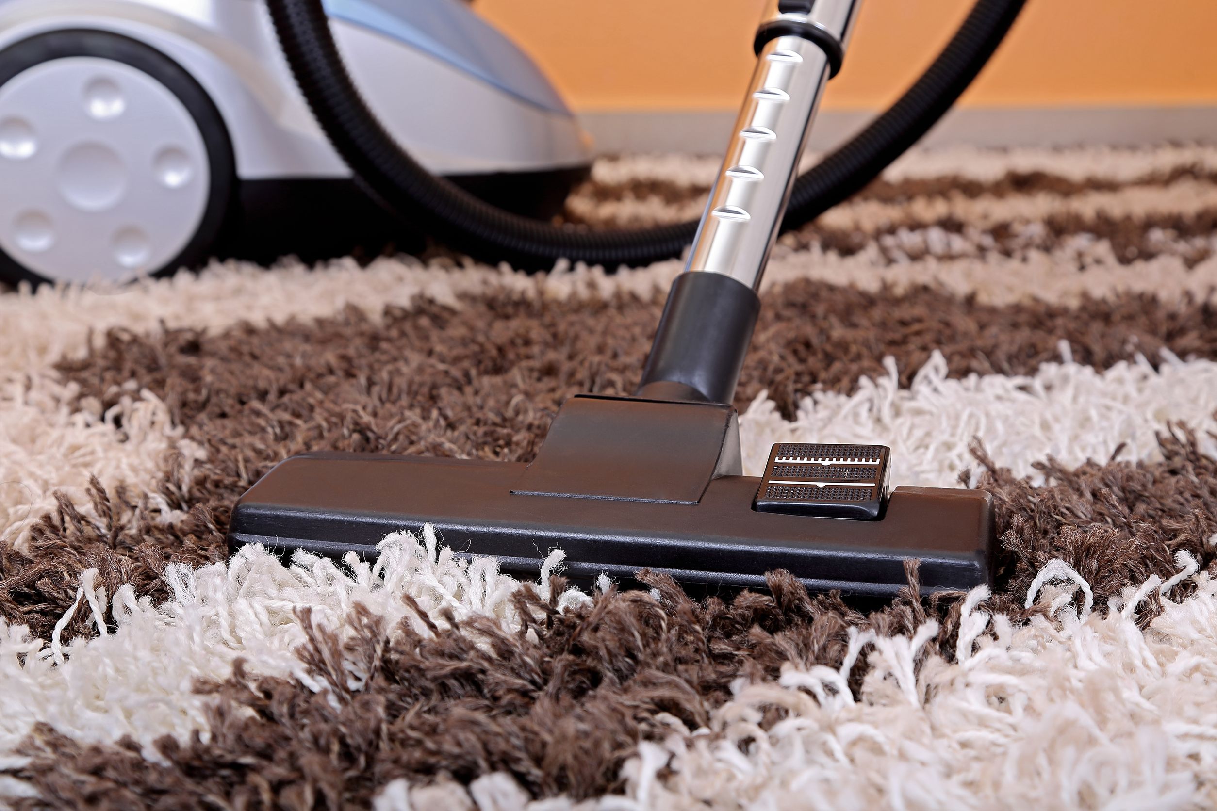 Why You Need Carpet Cleaning in Savannah