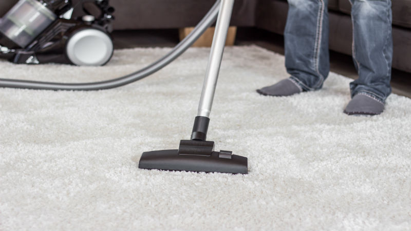 How Carpet Cleaning Services in Greenwood, IN, Ensure the Longevity of Your Carpet