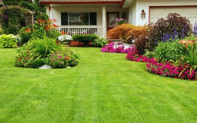 Transforming Outdoor Spaces with Landscaping in Edina, MN