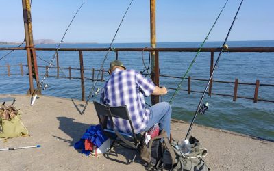 Ultimate Angling Adventure with Lake Erie Charter Fishing Trip