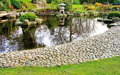 Landscape Design Services in London, ON: Creating Beautiful and Functional Outdoor Spaces