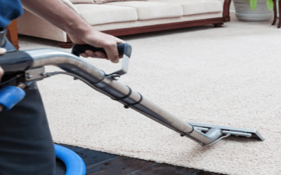 Commercial Carpet Cleaning Services in Westminster, CO: Elevating Cleanliness and Professionalism