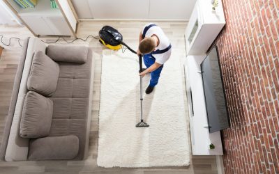 Deep Cleaning Made Easy: Discover the Ultimate Carpet Steam Cleaning Near Fitchburg, WI, for a Healthier, Fresher Home